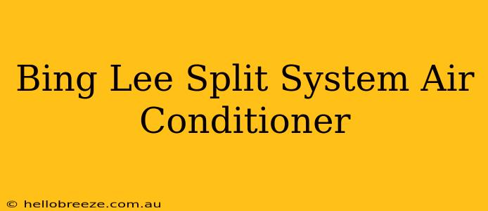 Bing Lee Split System Air Conditioner