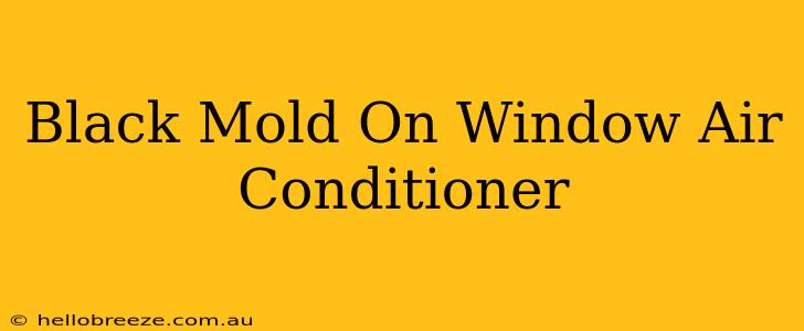 Black Mold On Window Air Conditioner