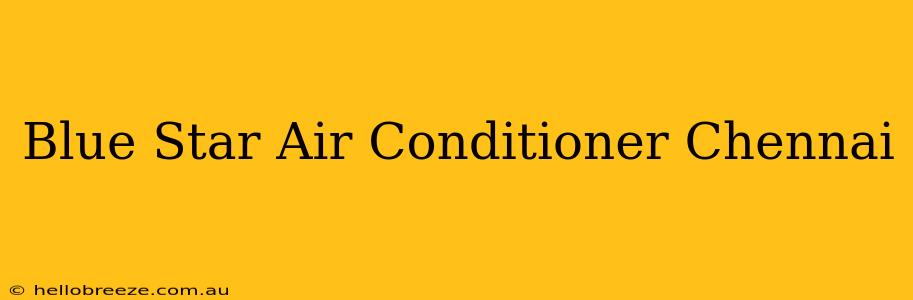 Blue Star Air Conditioner Chennai