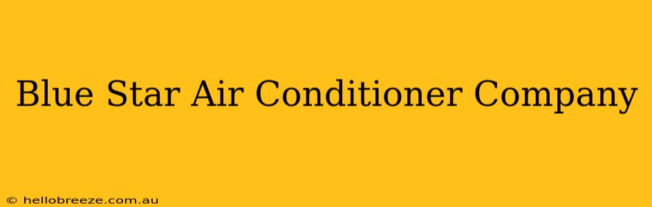 Blue Star Air Conditioner Company