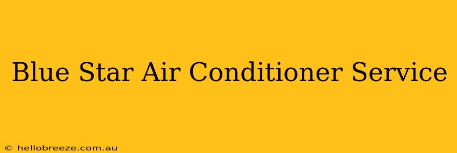 Blue Star Air Conditioner Service