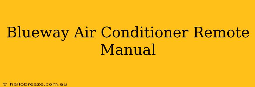 Blueway Air Conditioner Remote Manual