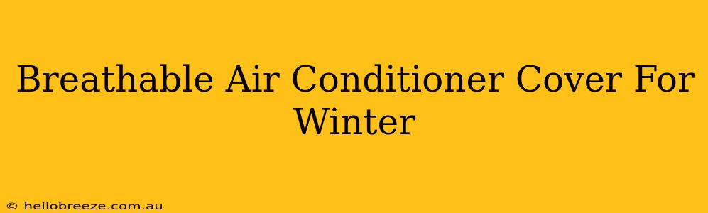 Breathable Air Conditioner Cover For Winter