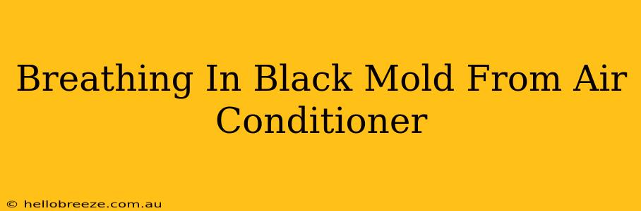 Breathing In Black Mold From Air Conditioner