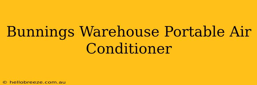 Bunnings Warehouse Portable Air Conditioner