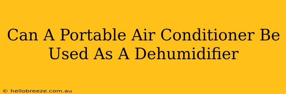 Can A Portable Air Conditioner Be Used As A Dehumidifier