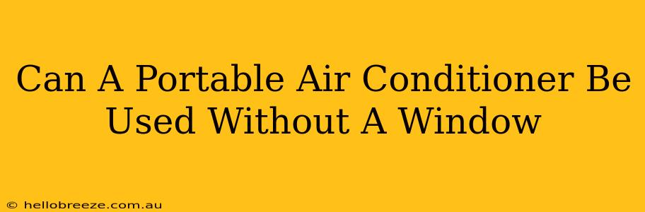 Can A Portable Air Conditioner Be Used Without A Window