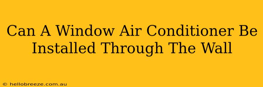 Can A Window Air Conditioner Be Installed Through The Wall