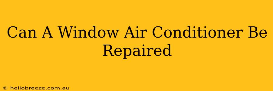 Can A Window Air Conditioner Be Repaired