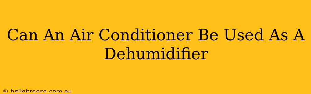 Can An Air Conditioner Be Used As A Dehumidifier