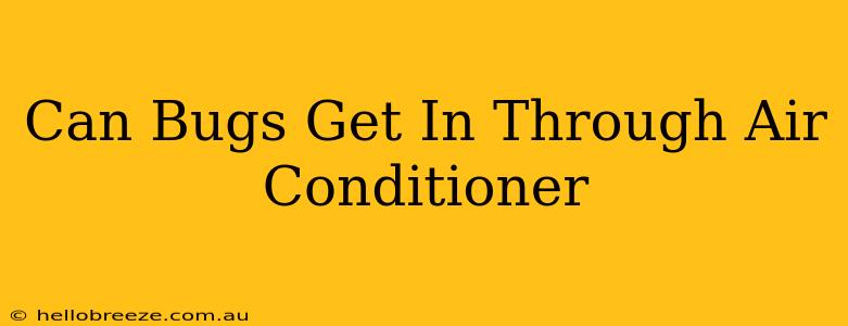 Can Bugs Get In Through Air Conditioner