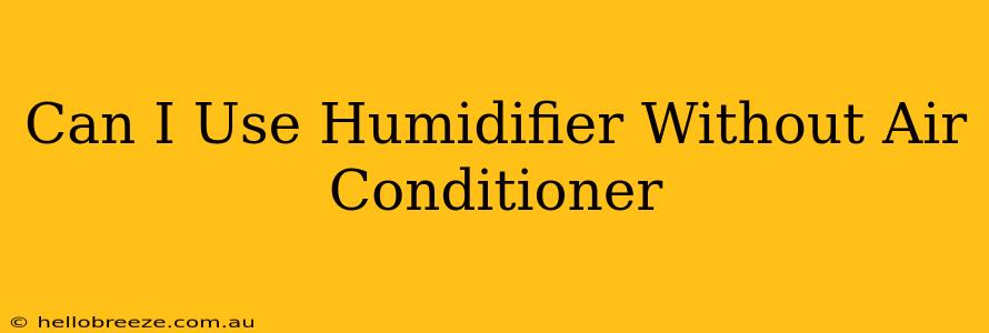 Can I Use Humidifier Without Air Conditioner