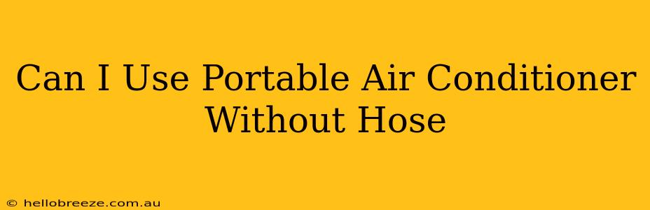 Can I Use Portable Air Conditioner Without Hose