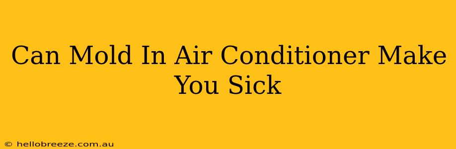 Can Mold In Air Conditioner Make You Sick