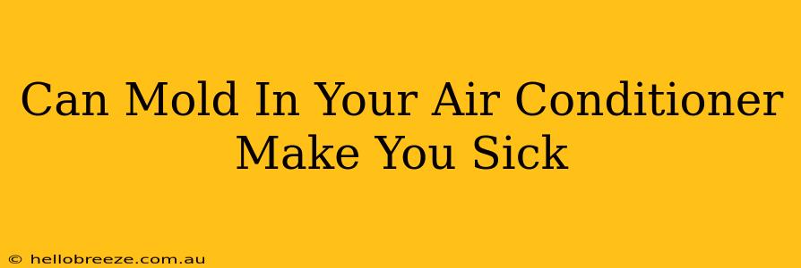 Can Mold In Your Air Conditioner Make You Sick