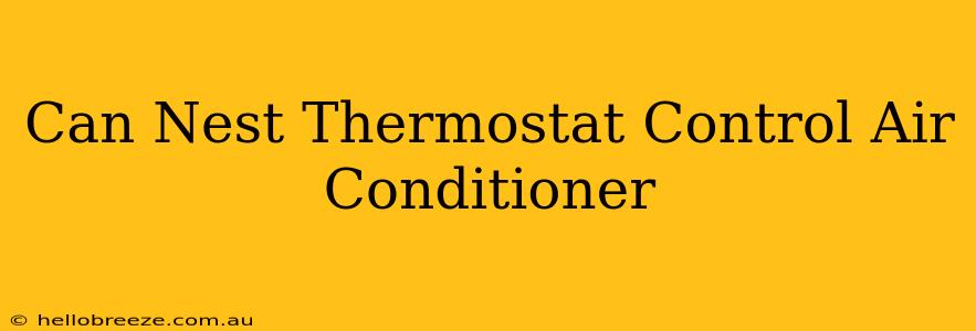 Can Nest Thermostat Control Air Conditioner