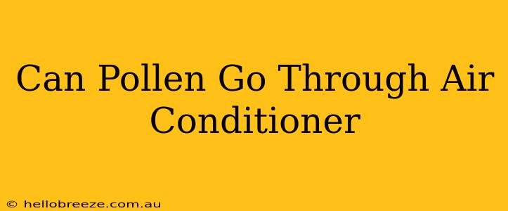 Can Pollen Go Through Air Conditioner