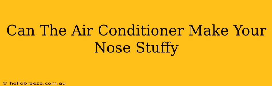 Can The Air Conditioner Make Your Nose Stuffy