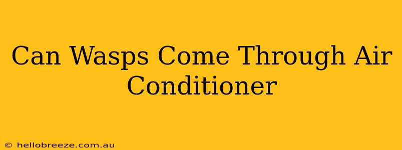 Can Wasps Come Through Air Conditioner