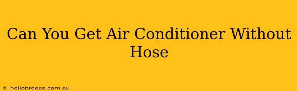 Can You Get Air Conditioner Without Hose