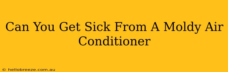 Can You Get Sick From A Moldy Air Conditioner