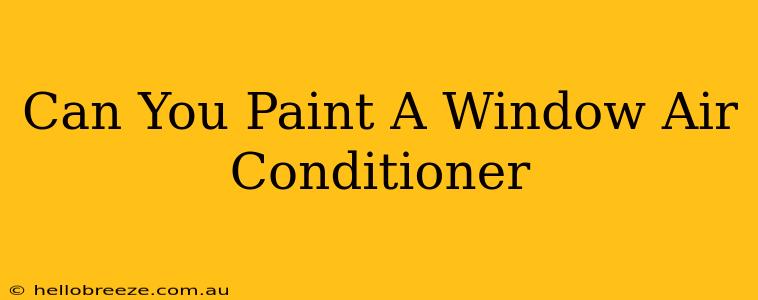 Can You Paint A Window Air Conditioner