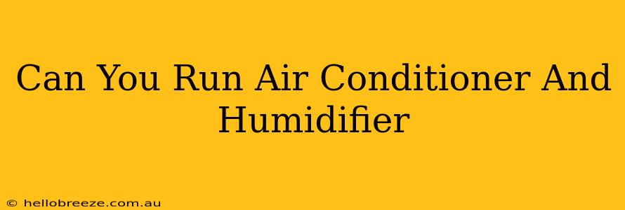 Can You Run Air Conditioner And Humidifier