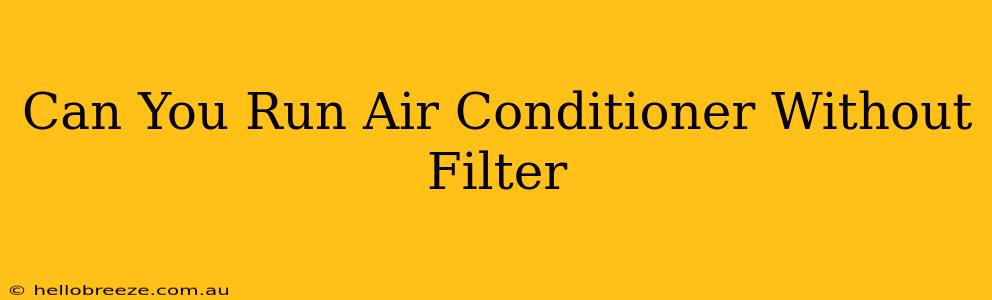 Can You Run Air Conditioner Without Filter