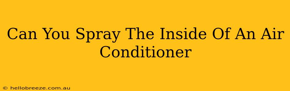 Can You Spray The Inside Of An Air Conditioner