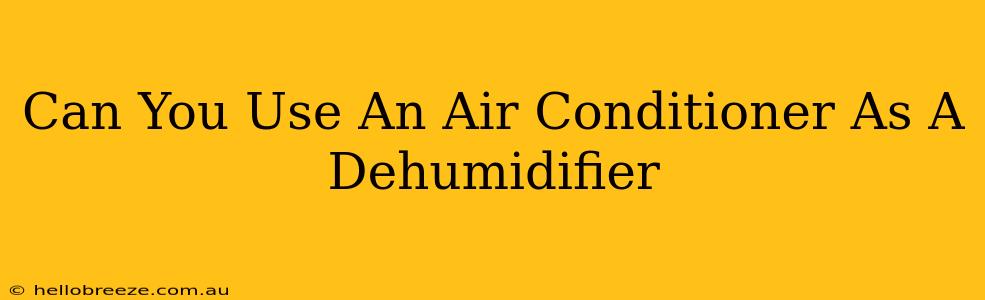 Can You Use An Air Conditioner As A Dehumidifier