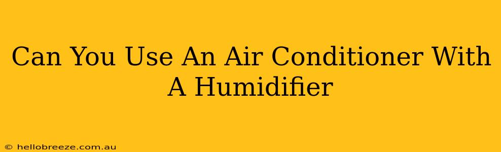 Can You Use An Air Conditioner With A Humidifier