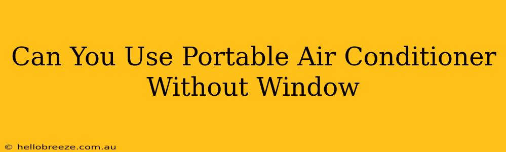 Can You Use Portable Air Conditioner Without Window