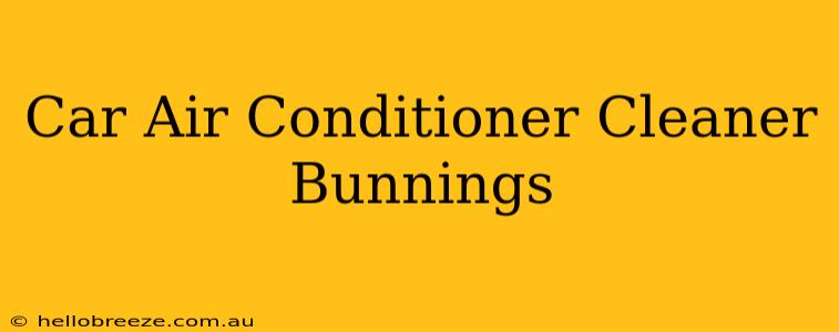 Car Air Conditioner Cleaner Bunnings