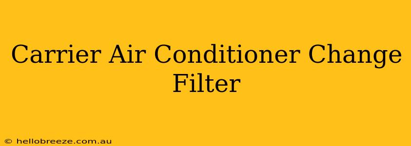 Carrier Air Conditioner Change Filter