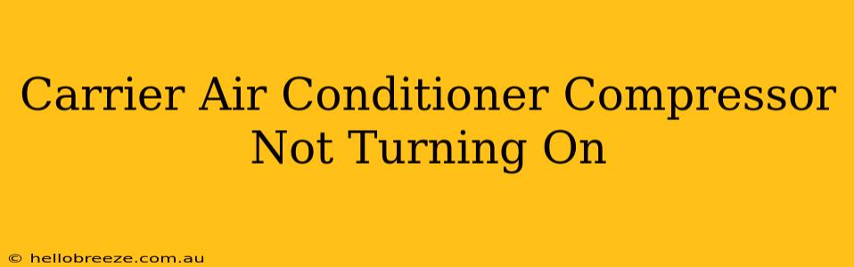 Carrier Air Conditioner Compressor Not Turning On