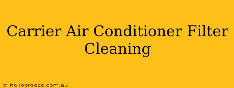 Carrier Air Conditioner Filter Cleaning