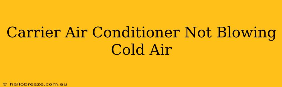 Carrier Air Conditioner Not Blowing Cold Air