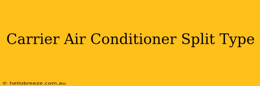 Carrier Air Conditioner Split Type