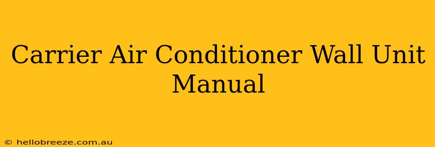 Carrier Air Conditioner Wall Unit Manual