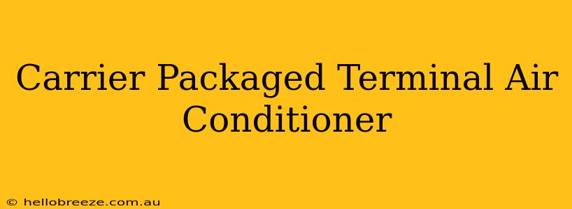 Carrier Packaged Terminal Air Conditioner