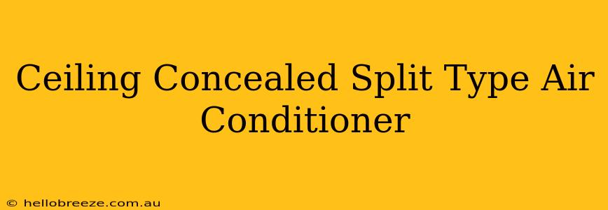 Ceiling Concealed Split Type Air Conditioner