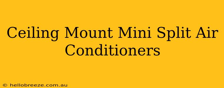 Ceiling Mount Mini Split Air Conditioners