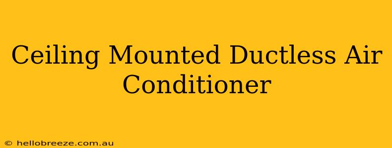 Ceiling Mounted Ductless Air Conditioner