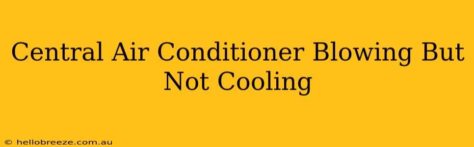 Central Air Conditioner Blowing But Not Cooling