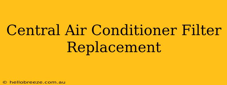 Central Air Conditioner Filter Replacement