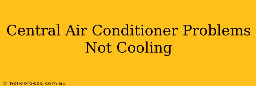 Central Air Conditioner Problems Not Cooling