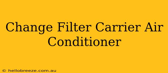 Change Filter Carrier Air Conditioner