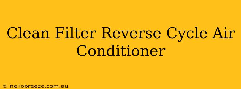 Clean Filter Reverse Cycle Air Conditioner