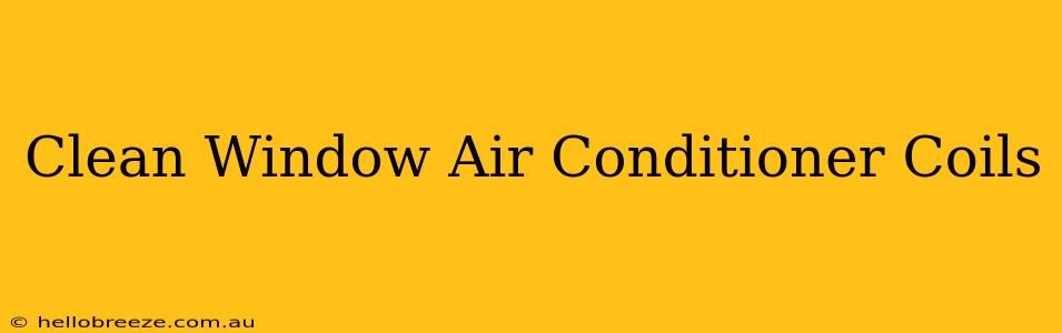 Clean Window Air Conditioner Coils