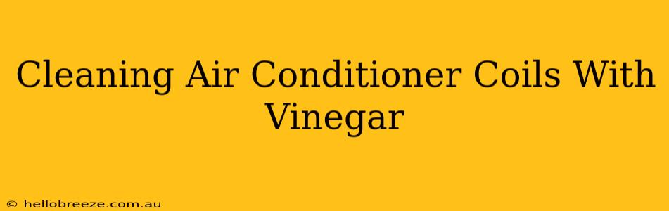 Cleaning Air Conditioner Coils With Vinegar